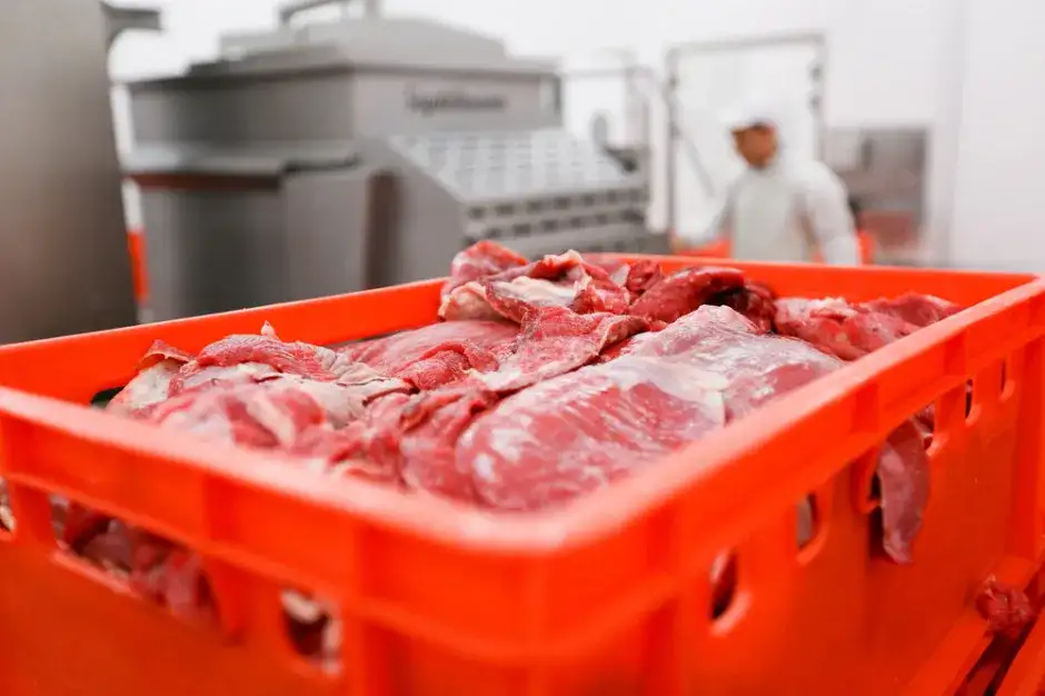 Ile kg mięsa można przewieźć do Niemiec? Sprawdź ważne zasady