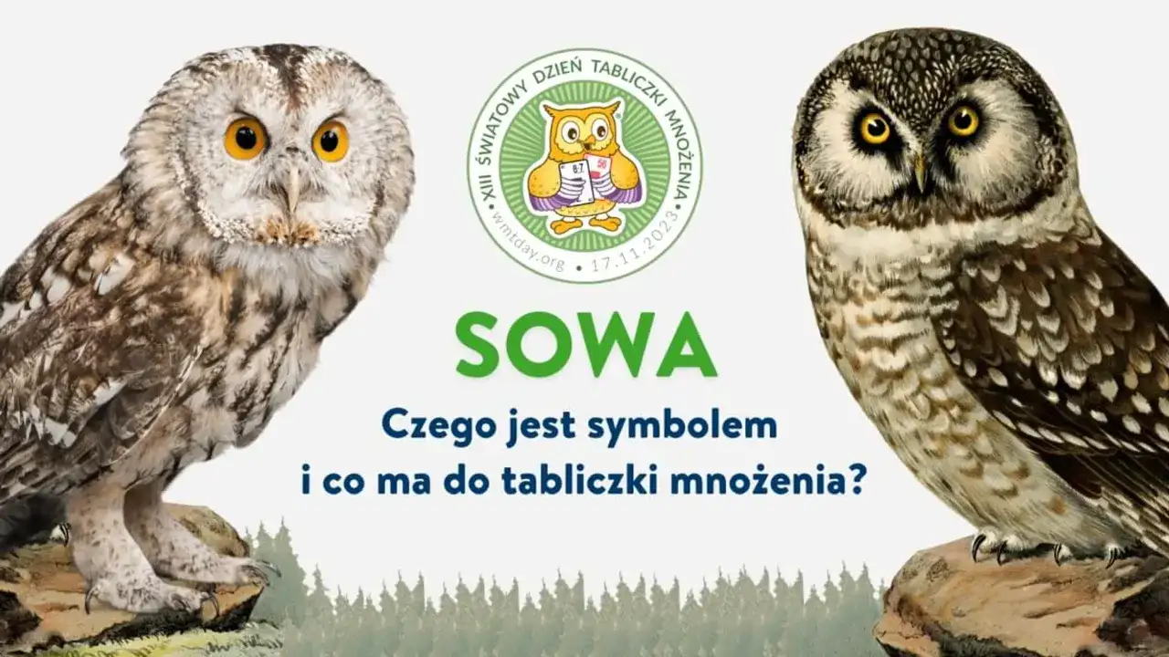 Czy sowa przynosi szczęście? Odkryj jej symbolikę i znaczenie