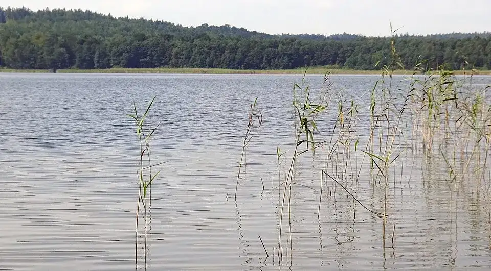 Jezioro Choczewskie: Raj dla wędkarzy i miłośników natury