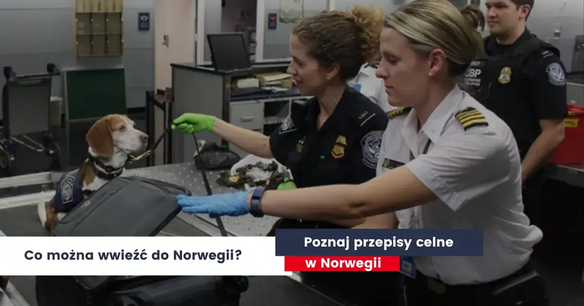 Co można przewieźć w bagażu podręcznym do Norwegii? Ważne zasady