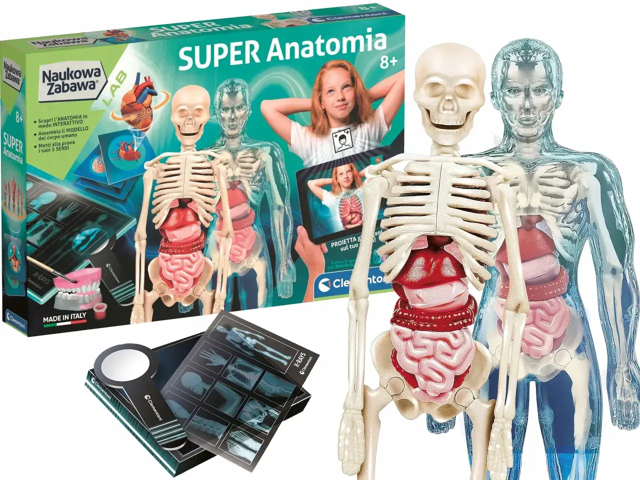 Najlepsze zabawki w kształcie mózgu, które rozweselą Twoje dziecko