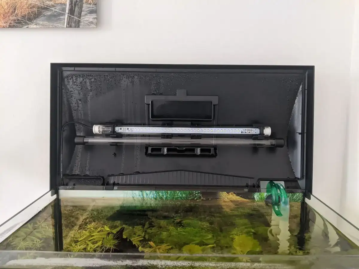 Jak zrobić oświetlenie do akwarium, aby uniknąć błędów i oszczędzać energię