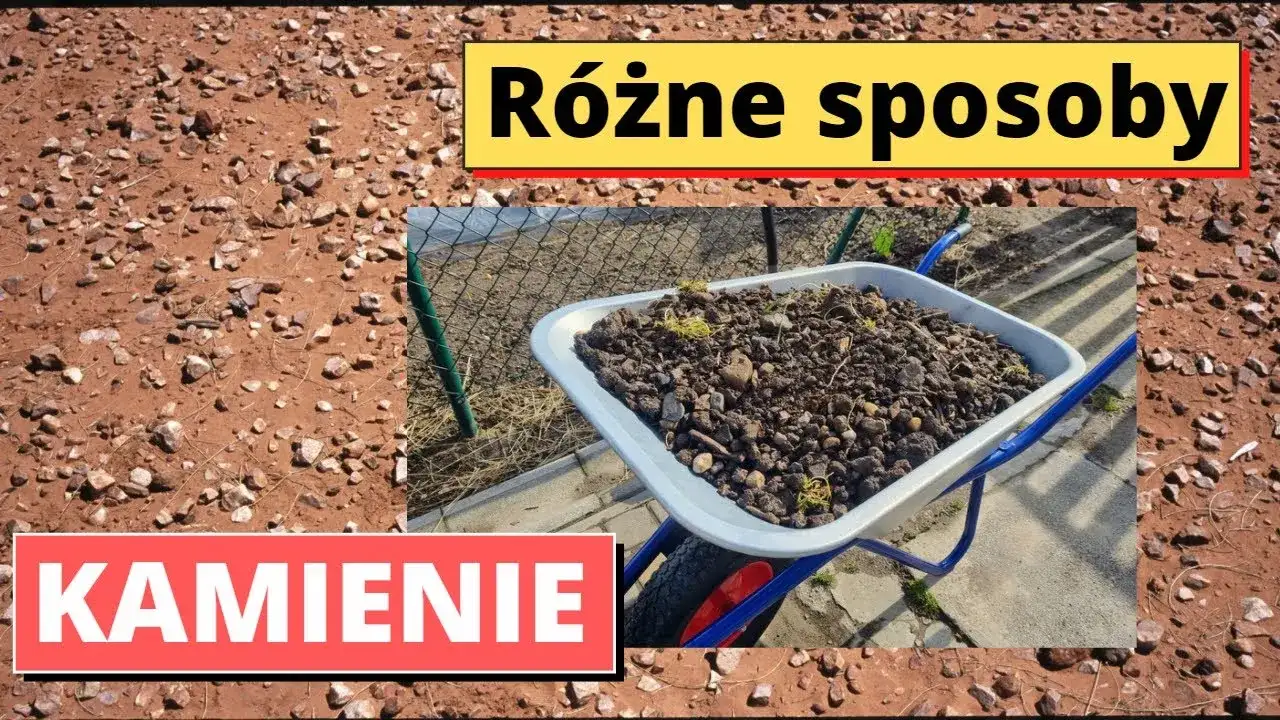 Gdzie wyrzucić kamienie? Poznaj najlepsze sposoby na utylizację