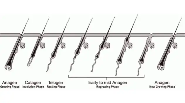 Jak długo odrastają rzęsy po przedłużaniu? Odkryj ważne fakty