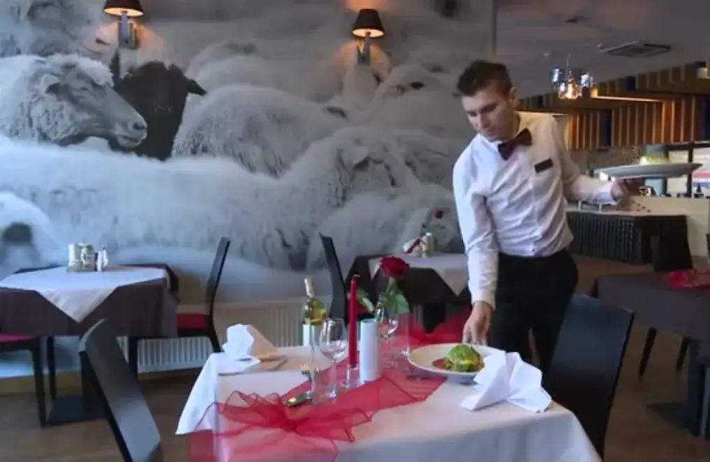 Gdzie zjeść w Piwnicznej-Zdroju? Odkryj najlepsze restauracje