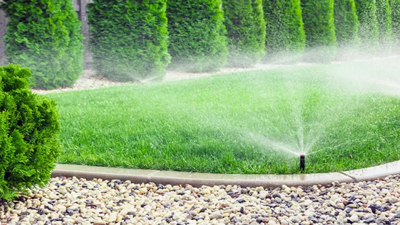 Nawadnianie kropelkowe czy zraszacze? Wybierz idealny system do ogrodu