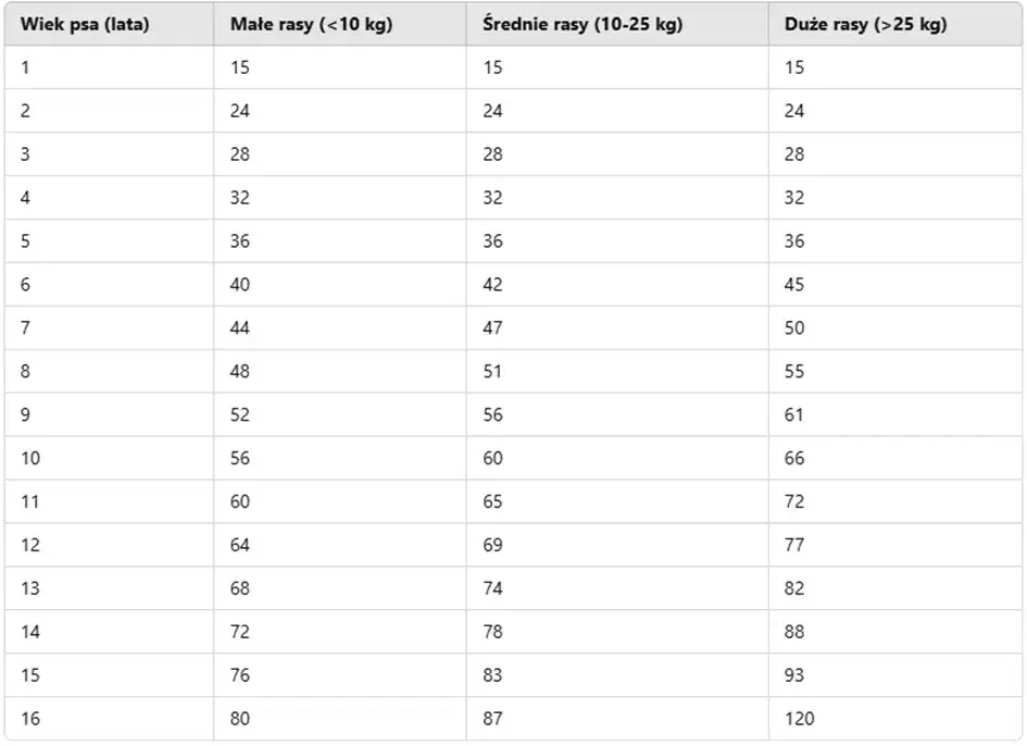 Wiek szczeniaka: jak go ocenić? Zęby, rozwój, zachowanie