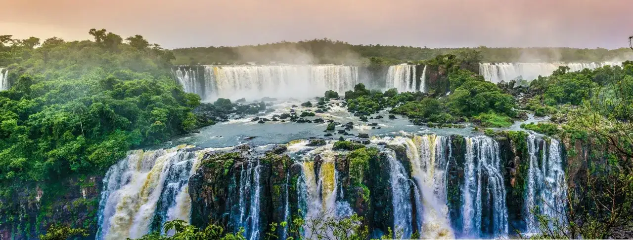 Zdrowie zwierząt: jak zadbać o pupila podczas podróży do Brazylii