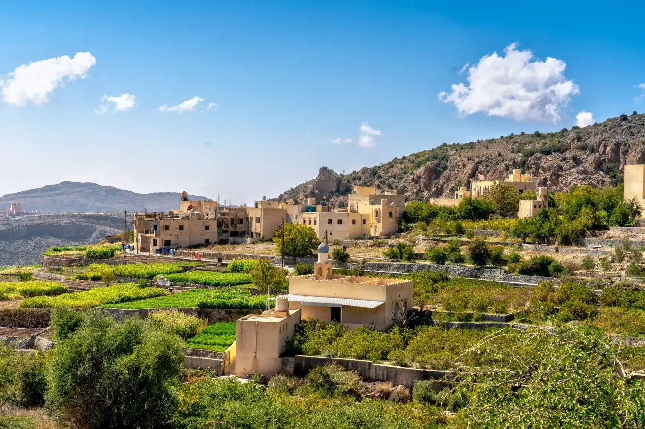 Tarasy uprawne w górskiej wiosce w Omanie. Idealny czas, kiedy lecieć do Omanu, to wiosna lub jesień, by podziwiać takie widoki.