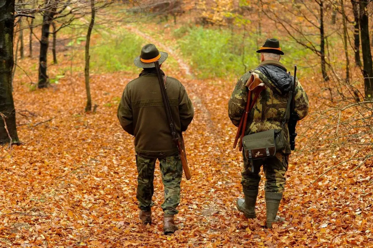 Dwóch myśliwych w kapeluszach i odzieży maskującej idzie przez jesienny las. Czy myśliwy może jeździć za szlaban do lasu?