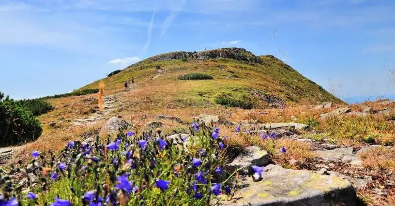 Najłatwiejszy szlak na Babią Górę – idealny dla rodzin i początkujących