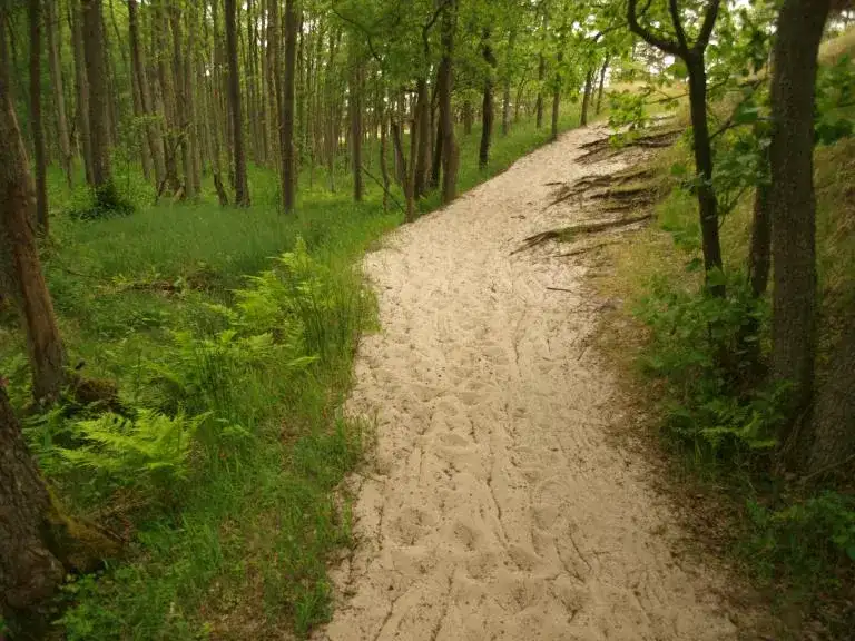 Łeba-Stilo rowerem: Przewodnik po trasie marzeń i jej wyzwaniach