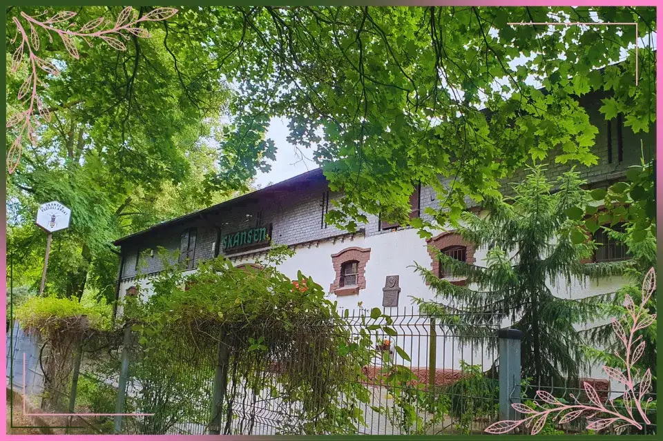 Skansen pszczelarski w Swarzędzu - historia, eksponaty i atrakcje