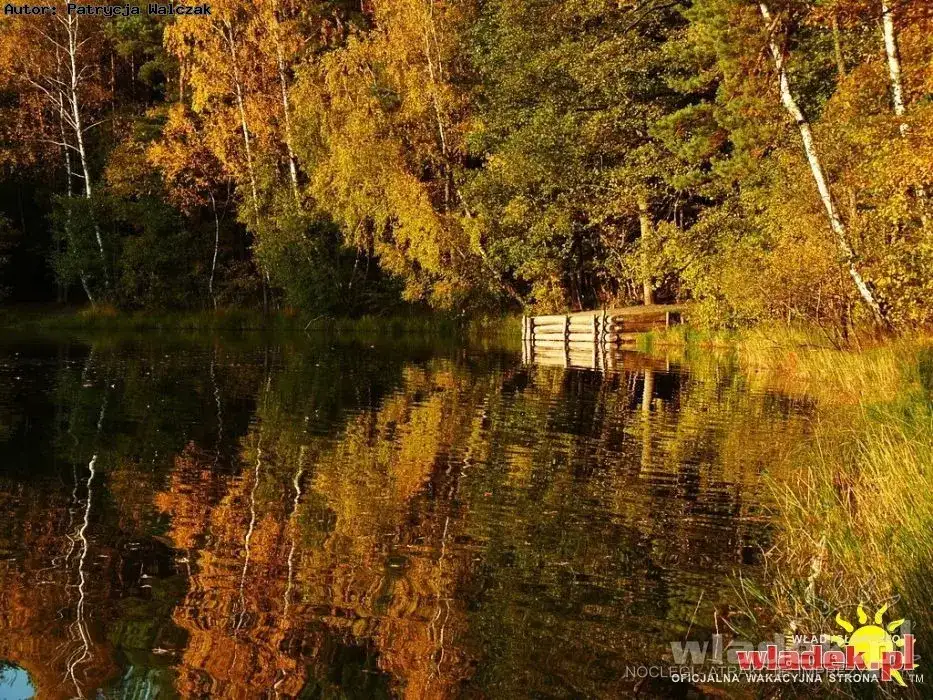 Jezioro Dobre Pomorskie: piękne miejsce na wędkowanie i wypoczynek