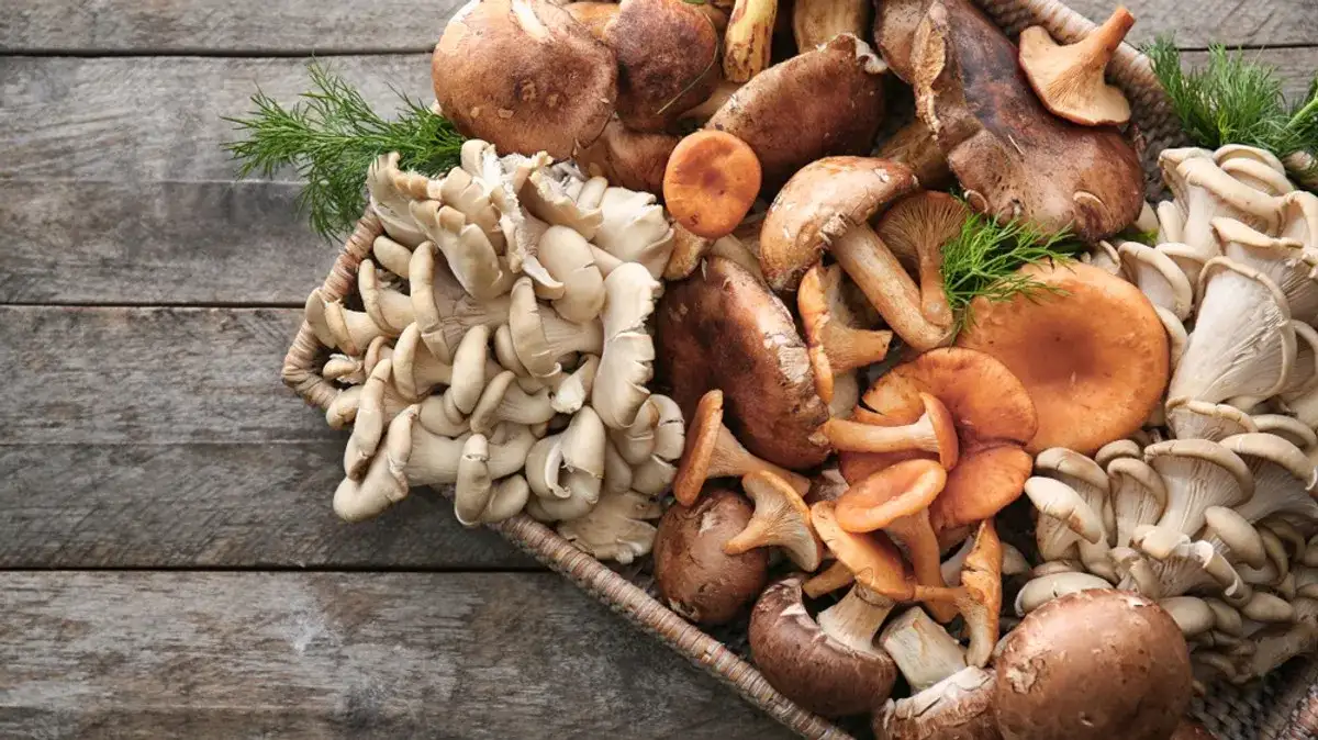 Czy grzyby są zdrowe? Poznaj 7 zaskakujących właściwości odżywczych