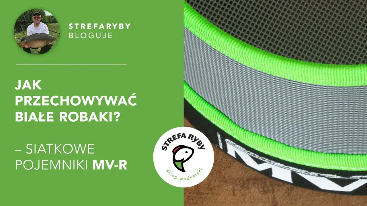 Jak przechowywać robaki na ryby? Sekrety długiej żywotności przynęt