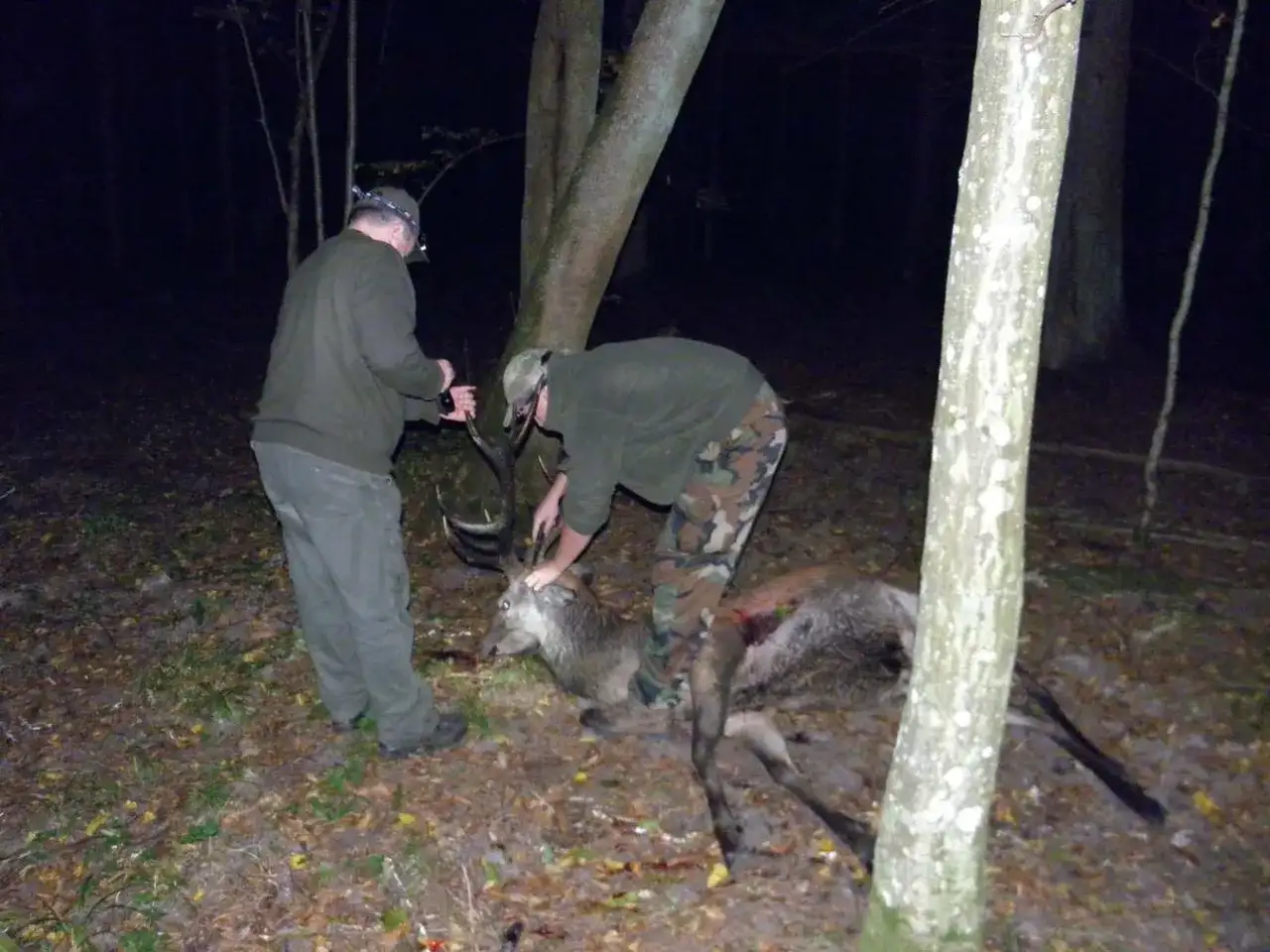 Dwóch myśliwych przy upolowanym jeleniu. Jeden trzyma nóż, drugi pochyla się nad zwierzyną.