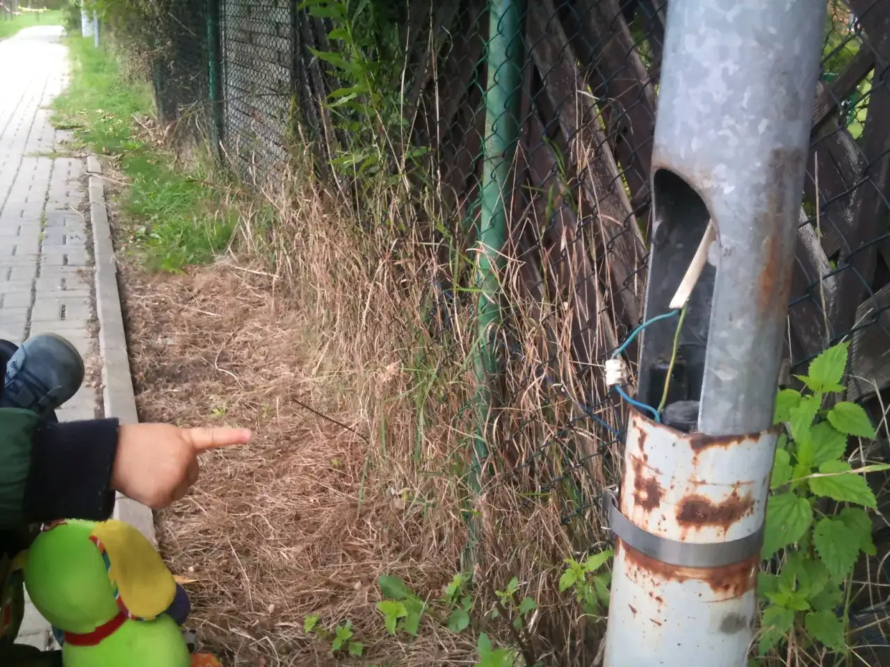 Kto odpowiada za oświetlenie ulic i jak zgłaszać problemy?