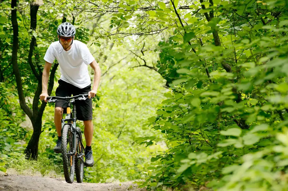 Najlepsze trasy rowerowe w Swornegaciach – odkryj malownicze szlaki