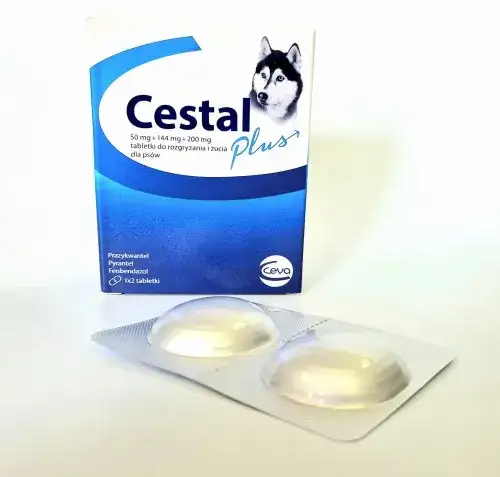 Odrobaczanie psa: Co 3-6 miesięcy? Pełny przewodnik dla właściciela