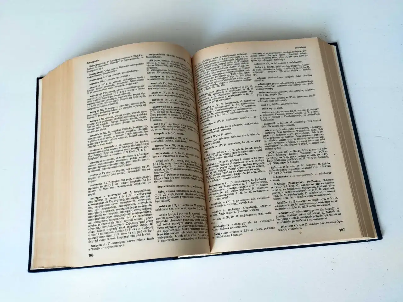 Słownik poprawnej polszczyzny: PWN, online, papier który wybrać?