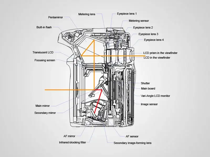Jak działa lustrzanka dwuobiektywowa? Budowa i mechanizm TLR