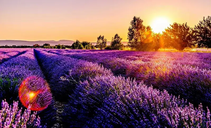 Najpiękniejsze miejsca we Francji: Przewodnik poza utartym szlakiem