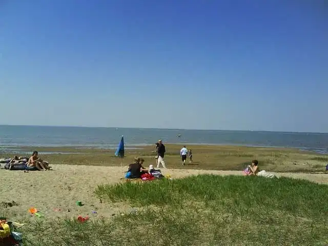 Najciekawsze atrakcje w Tolkmicku, które musisz zobaczyć