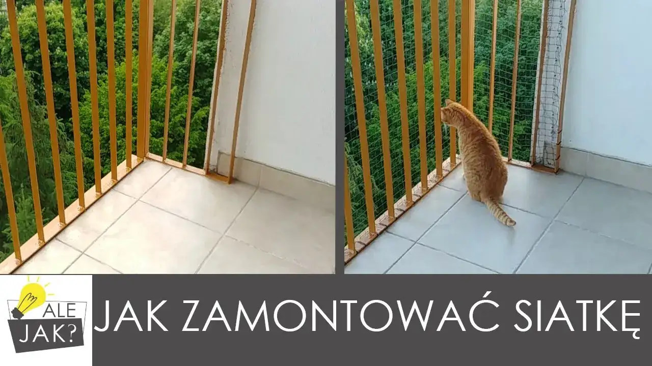 Jak zamontować siatkę na balkon bez wiercenia i z zachowaniem bezpieczeństwa