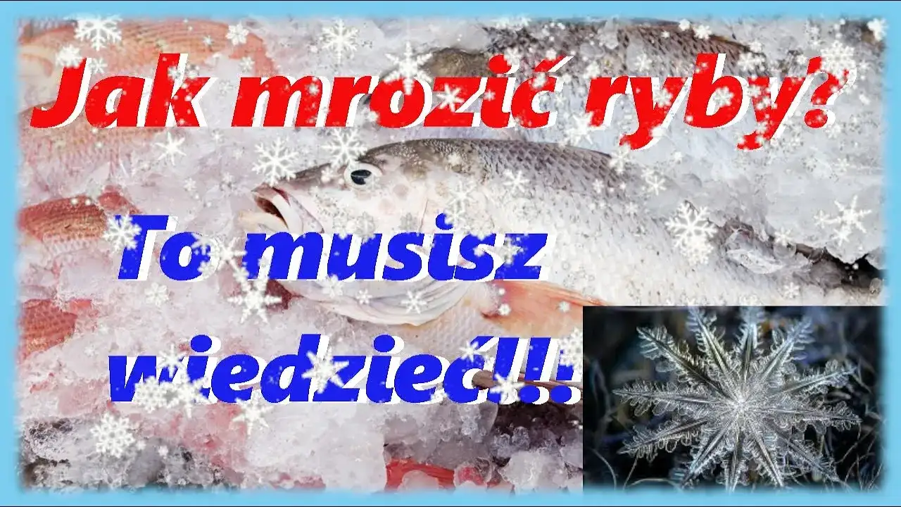 Jak długo mrozić ryby? Ekspert radzi, by smakowały jak świeże