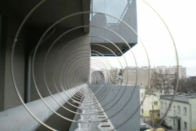 Jak zabezpieczyć dach przed ptakami i uniknąć kosztownych szkód