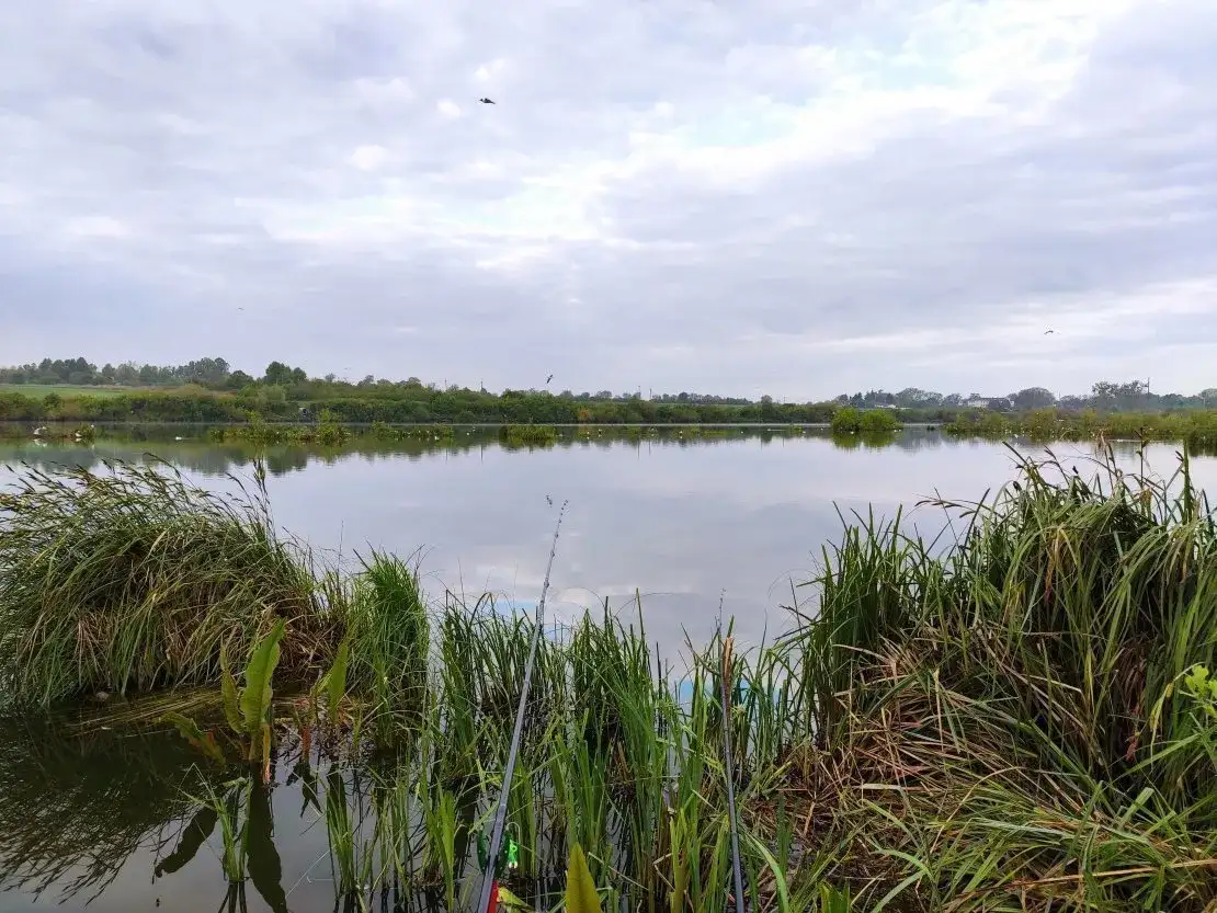 Jakie ciśnienie dobre na ryby? Odkryj tajemnice skutecznego wędkowania