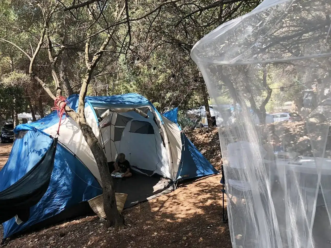 Dziecko czyta w otwartym namiocie, obok kosze i moskitiera. Idealne patenty pod namiot na wakacje.