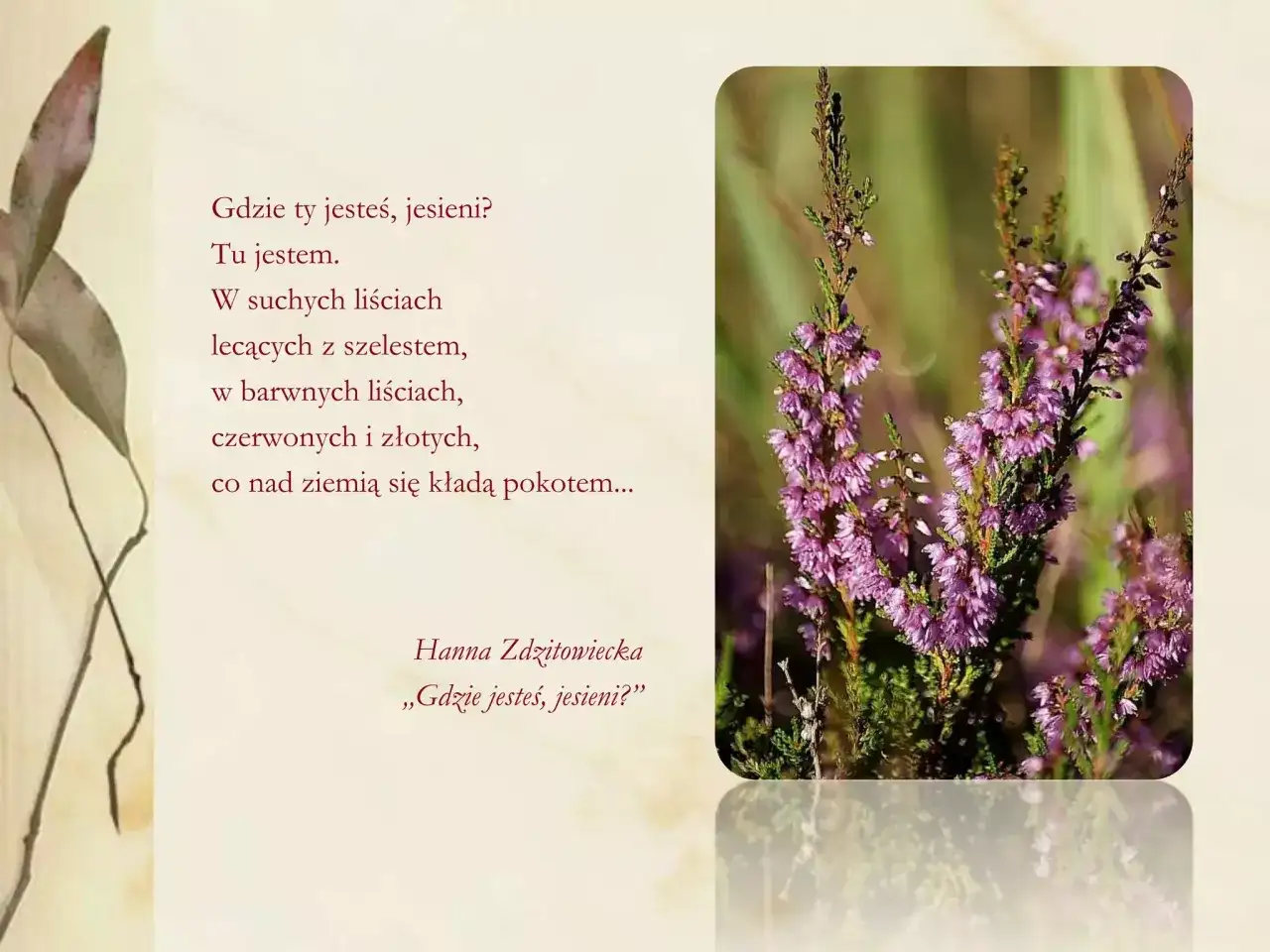 Wiersz o deszczu jesiennym. Wśród wrzosów i suchych liści, jesień szepcze swoje historie.