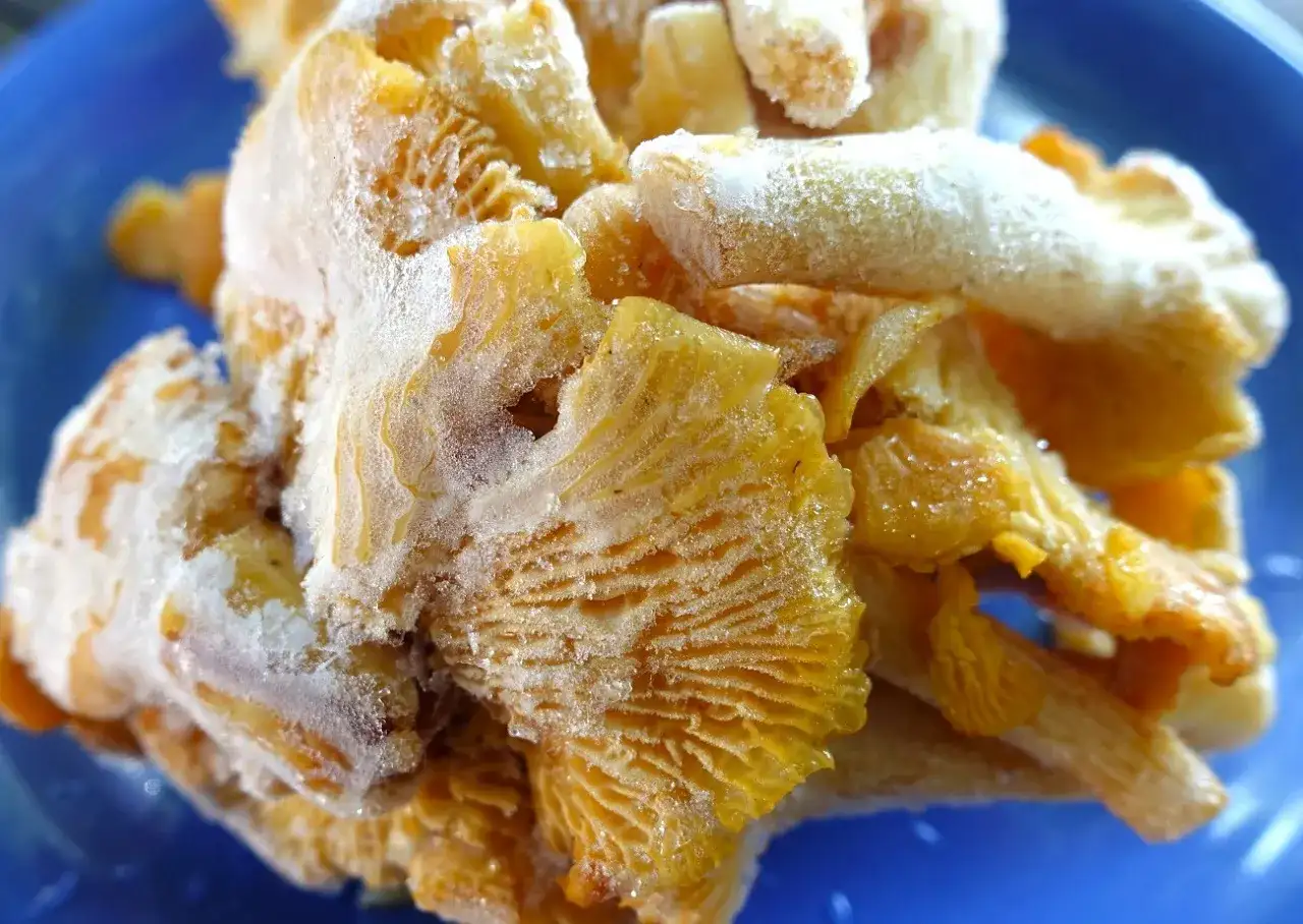 Jak gotować grzyby do mrożenia, aby zachować ich smak i świeżość