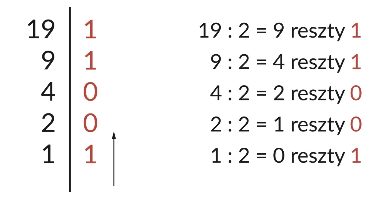 Jak w prosty sposób liczyć system binarny: dzielenie przez 2 i zapisywanie reszt. Wynik 19 w systemie binarnym to 10011.