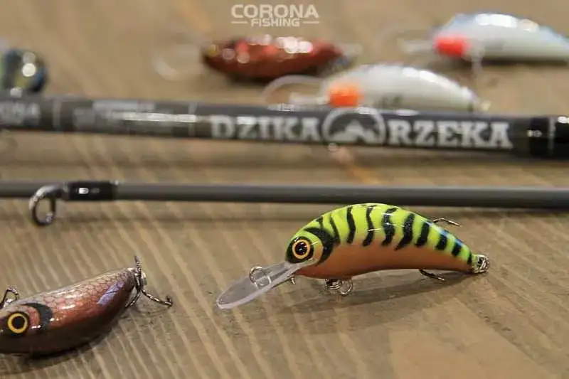 Najlepsze przynęty na jazia: poradnik od A do Z