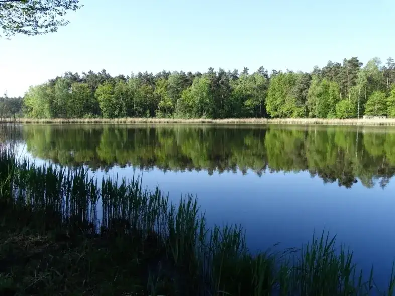 Łowisko Baroniok – idealne miejsce na wędkarską przygodę w Polsce