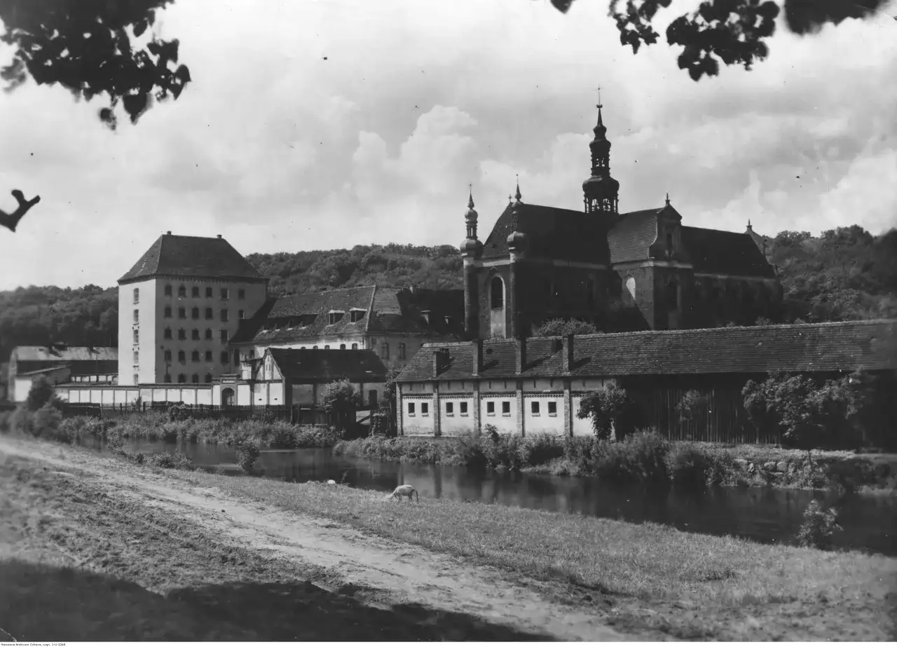 Zalew Koronowski: Atrakcje, szlaki, rejsy Twój przewodnik po regionie