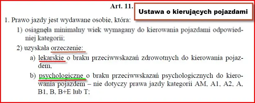 Jak wyglądają badania na prawo jazdy? Poznaj wymagania i koszty