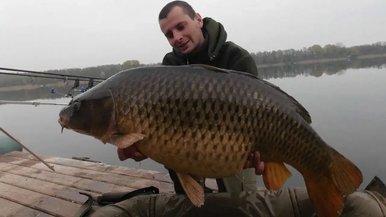 Łowisko Gosławice: Idealne miejsce na niezapomniane wędkowanie