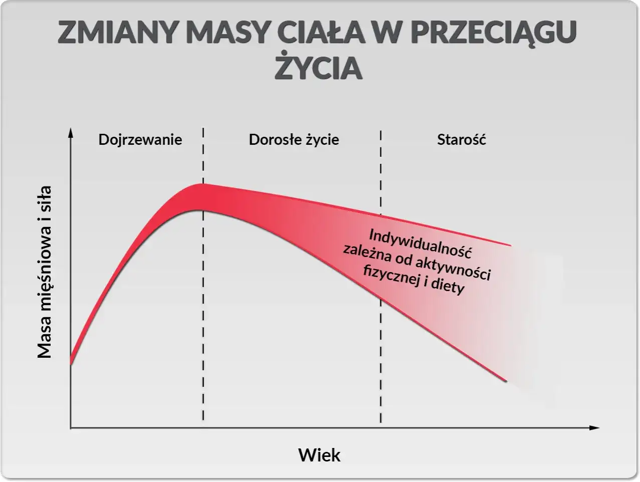 Ile białka dziennie przy treningu? Twój plan na masę i redukcję