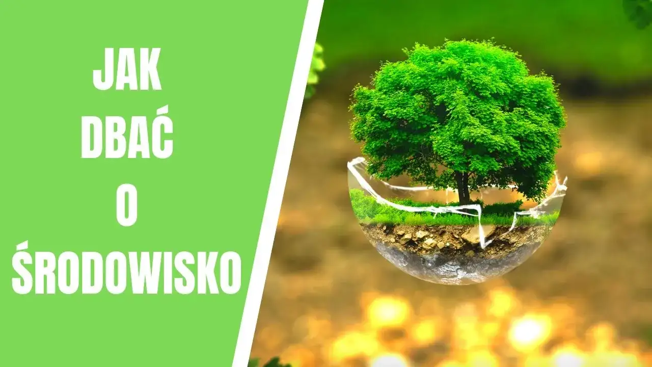 Jak dbać o środowisko film edukacyjny dla dzieci - najlepsze propozycje