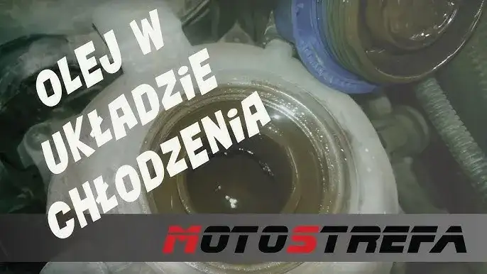 Olej w płynie: Chłodnica oleju czy UPG? Trafna diagnoza oszczędza!