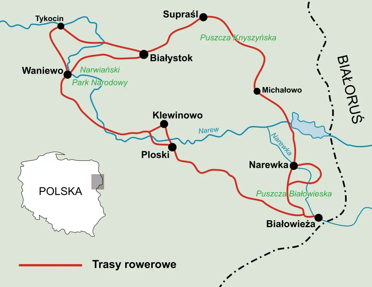 Białowieża trasy rowerowe mapa – odkryj najlepsze szlaki rowerowe
