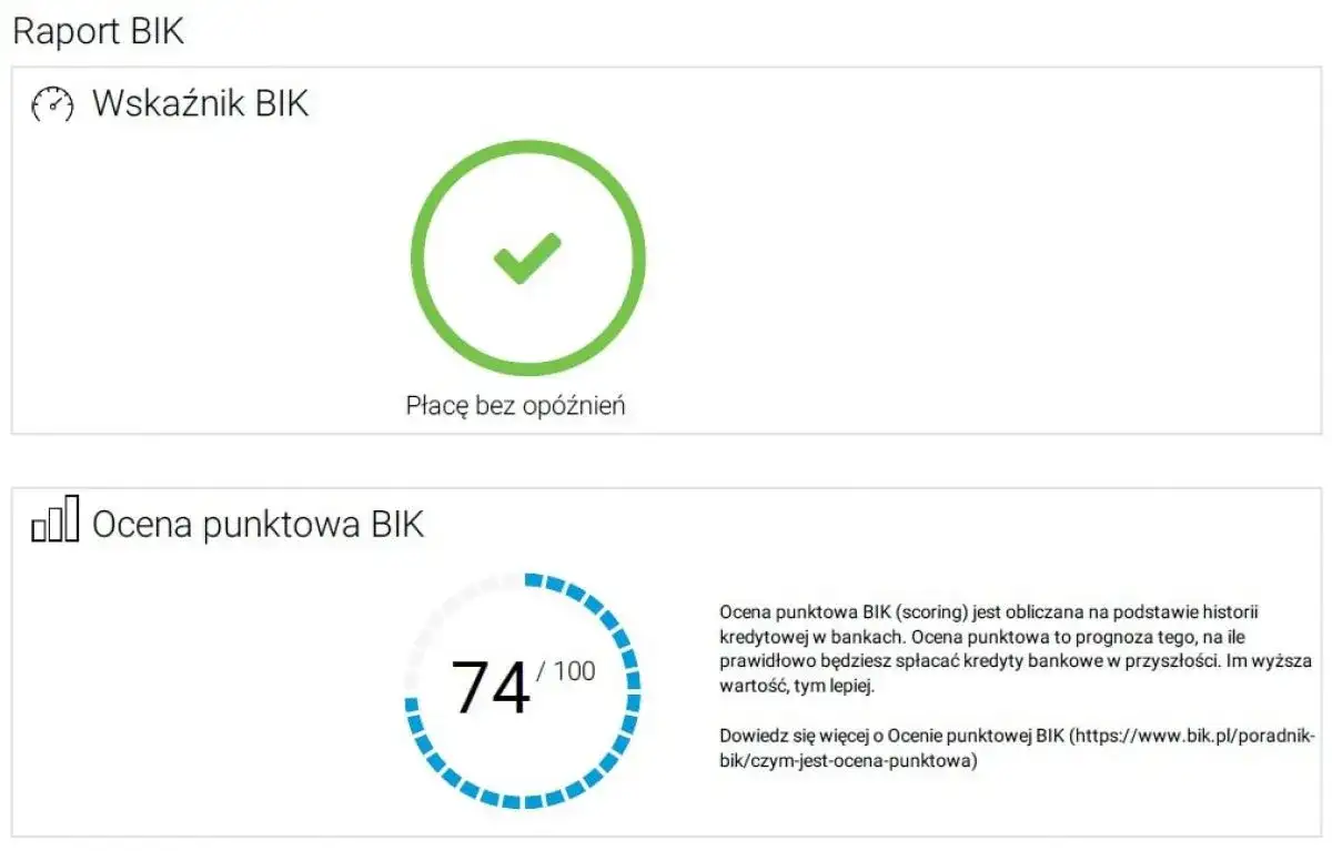 Jak sprawdzić BIK i uniknąć błędów w swojej historii kredytowej