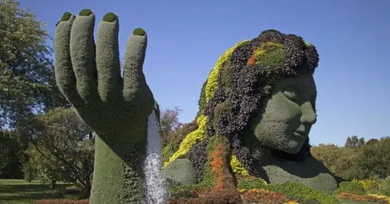 Rzeźby kwiatowe: jak tworzyć i pielęgnować niezwykłe dekoracje z kwiatów