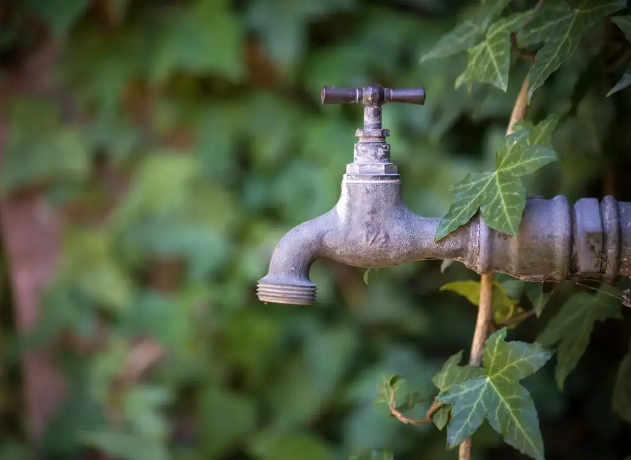 Jak zrobić kran ogrodowy, aby uniknąć problemów z wodą i mrozem
