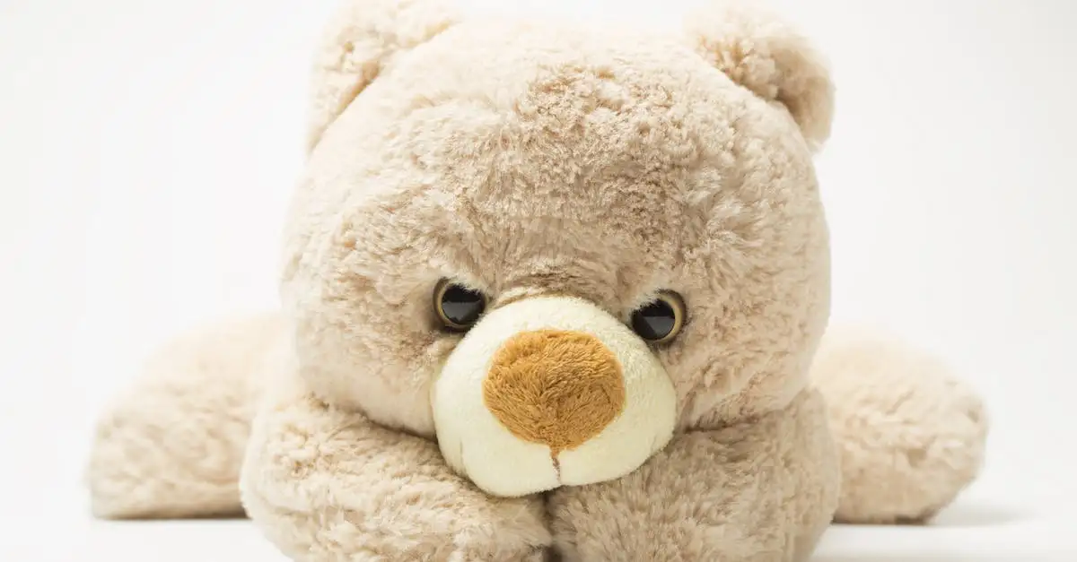 Cytaty z Misia - Najlepsze i Zabawne z Filmu