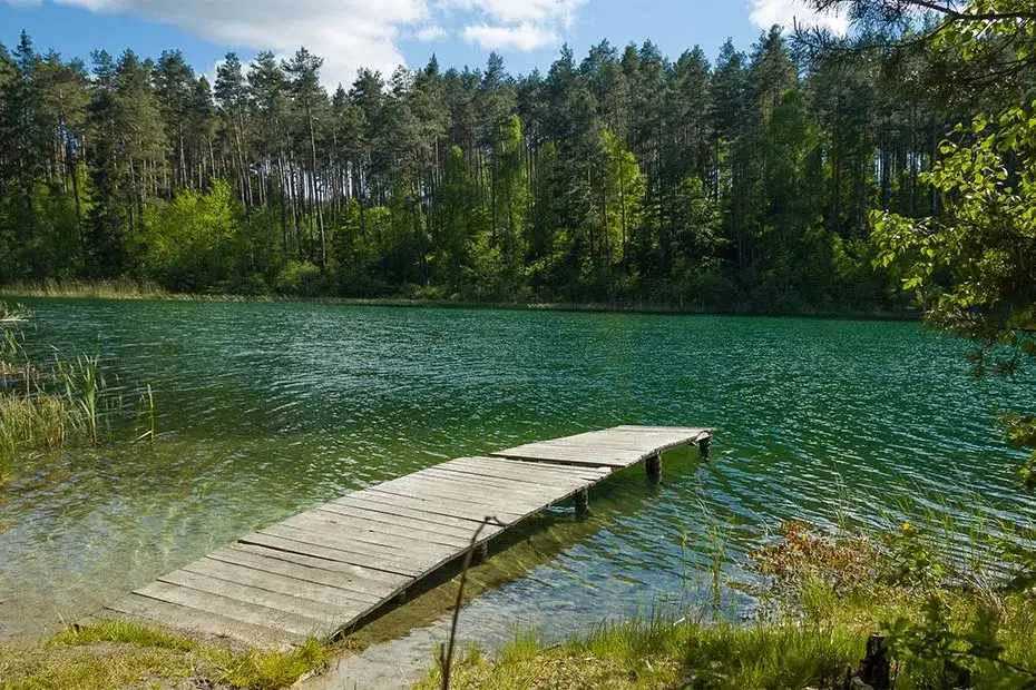 Rezerwat przyrody Puszcza Słupecka - unikalne bogactwo przyrody i ochrona